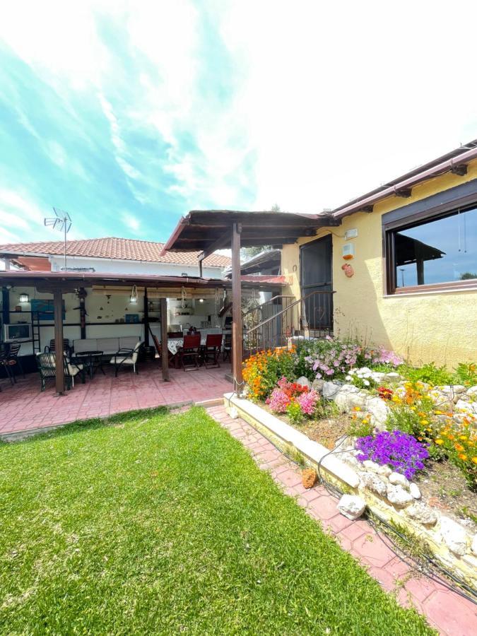 Summer House Holiday home